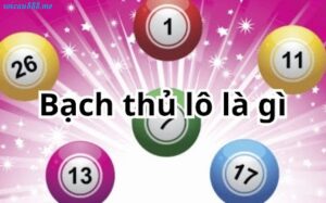 bach thu lo la gi 1