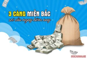 Cách đánh đề 3 càng chính xác nhất được cao thủ chia sẻ