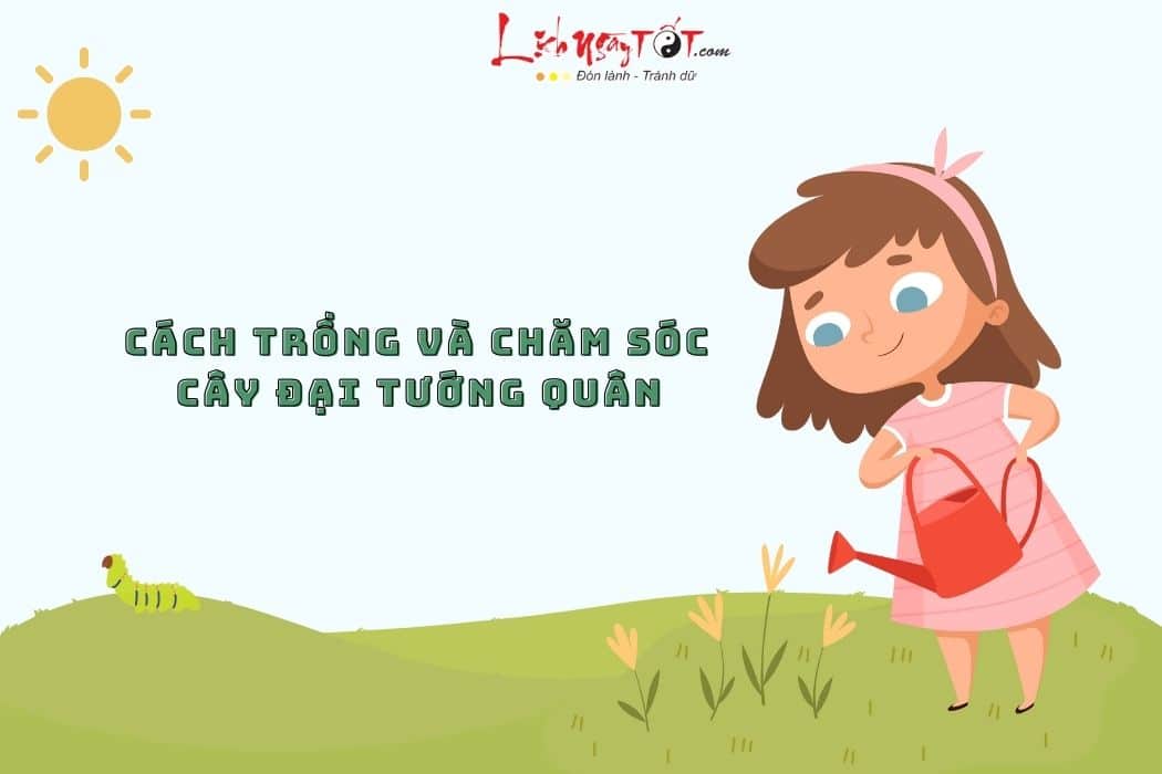 Trồng và chăm sóc cây đại tướng quân Trong va cham soc cay dai tuong quan